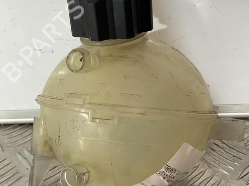 Expansion tank CITROËN C4 Grand Picasso I (UA_) 2.0 HDi 138 | BP21716177C120 