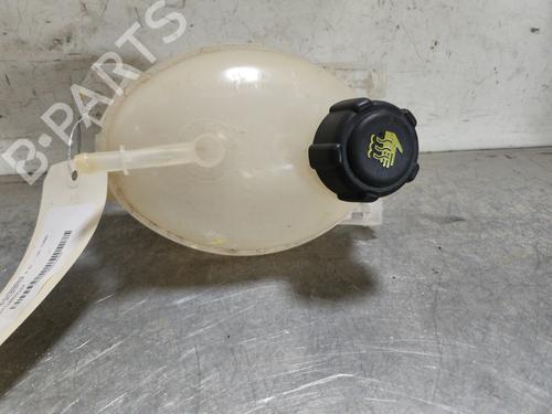 Used Expansion tank DACIA SANDERO II TCe 90 (B8M1, B8MA, B8AC) (90 hp) 27809960