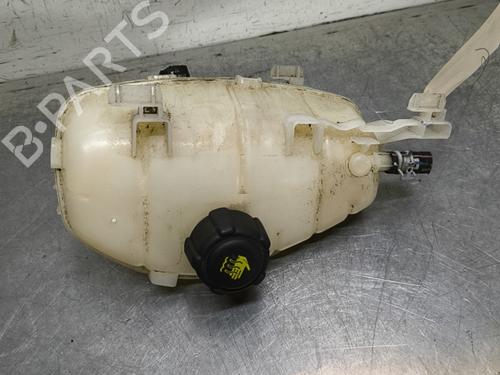 Ekspansjonstank RENAULT KANGOO Express (FW0/1_) 1.5 dCi 95 (FW16) | BP29893847C120