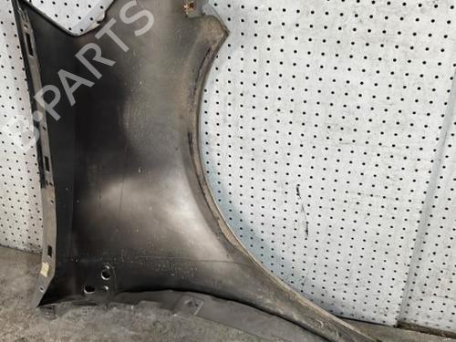 Left front fenders RENAULT CLIO III (BR0/1, CR0/1) 1.5 dCi (BR17, CR17) | BP29348209C41 