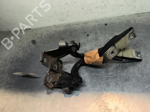 Dørhængsel/Dørbegrænser FIAT 500L (351_, 352_) 1.6 D Multijet (199LYD1B) (105 hp) 31815761