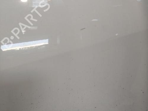 Used Left rear door RENAULT SCÉNIC III (JZ0/1_) 1.5 dCi (110 hp) 21693157