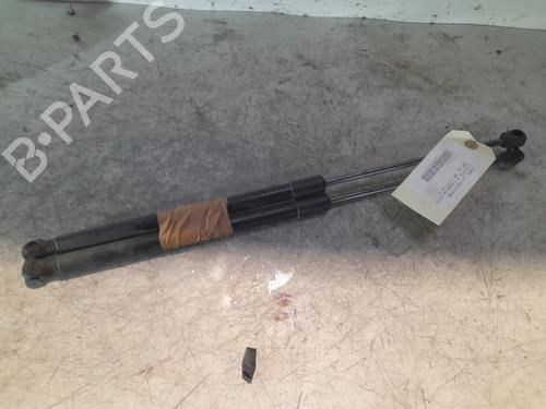 Tailgate lift support FORD FIESTA VI (CB1, CCN) 1.25 | BP22359371C138 