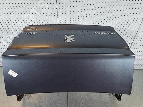 Used Tailgate PEUGEOT 407 (6D_) 2.0 HDi 135 (6DRHRH, 6DRHRE, 6DRHRG, 6DRHRJ) (136 hp) 28304586
