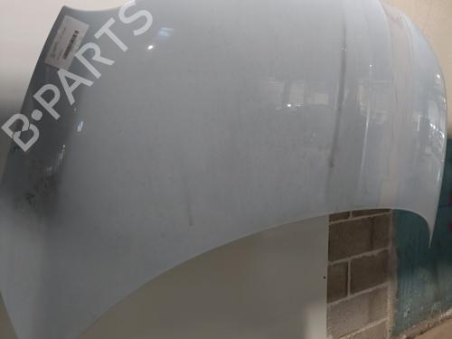 Hood FIAT 500 (312_) 1.2 (312AXA1A) | BP22893614C1 