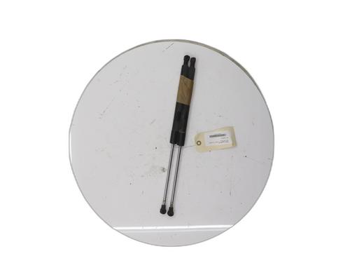 Heckklappendämpfer für Heckklappendämpfer RENAULT CLIO III (BR0/1, CR0/1) 1.2 16V Hi-Flex (BR1U, CR1U) (75 hp) 39639400 39639400