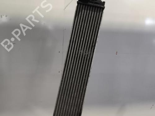 Intercooler RENAULT ESPACE IV (JK0/1_) 2.0 dCi (JK03, JK04, JK1C, JK1G, JK1J, JK1K) | BP33870434M30 - Image 6