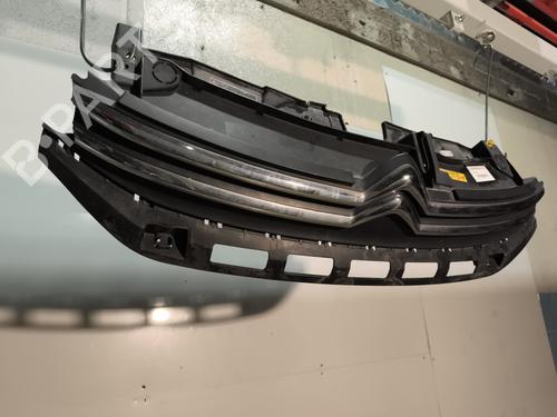Grille CITROËN C3 III (SX) 1.2 PureTech 82 | BP29733949C40 