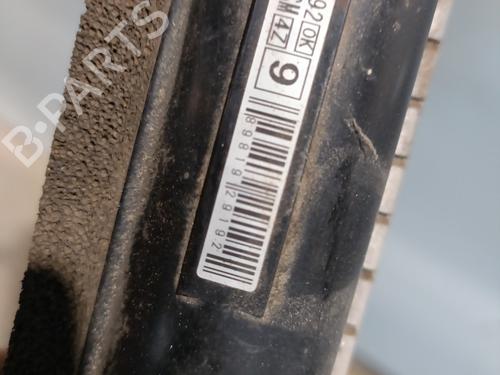 Water radiator ISUZU D-MAX II (TFR, TFS) 2.5 CRDi 4x4 (TFS86J) | BP29996879M31