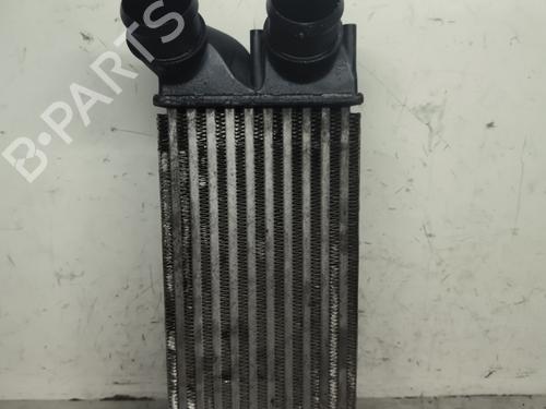 Used Intercooler Intercooler PEUGEOT 308 I (4A_, 4C_) 1.6 HDi (109 hp) 33870389 33870389