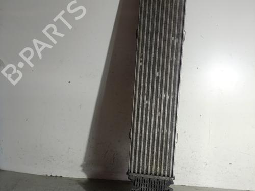 Used Intercooler MERCEDES-BENZ E-CLASS (W212) E 220 CDI / BlueTEC (212.001, 212.002) (170 hp) 29360298