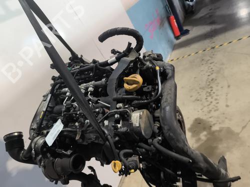 Used Engine FIAT 500L (351_, 352_) 1.6 D Multijet (199LYD1B) (105 hp) 31662830