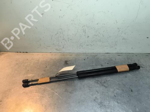 Tailgate lift support FORD FOCUS IV (HN) 1.0 EcoBoost | BP31257703C138