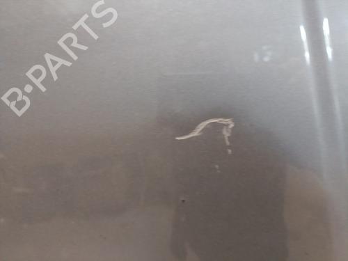 Hood LAND ROVER RANGE ROVER SPORT I (L320) 3.0 D 4x4 | BP28077753C1 