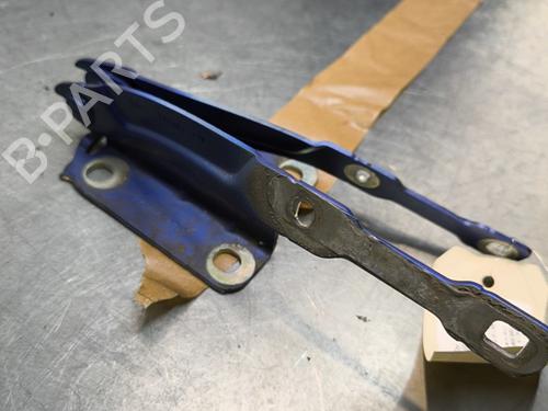 Hinge/Door check strap DACIA SANDERO II 1.0 TCe 100 (B8ML) | BP29997438C146 