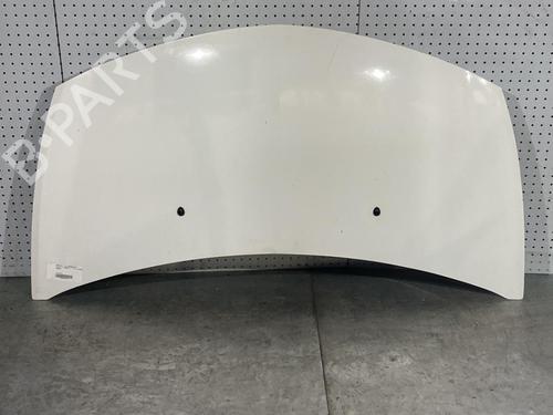 Used Hood RENAULT CLIO III (BR0/1, CR0/1) 1.5 dCi (BR17, CR17) (86 hp) 21707080