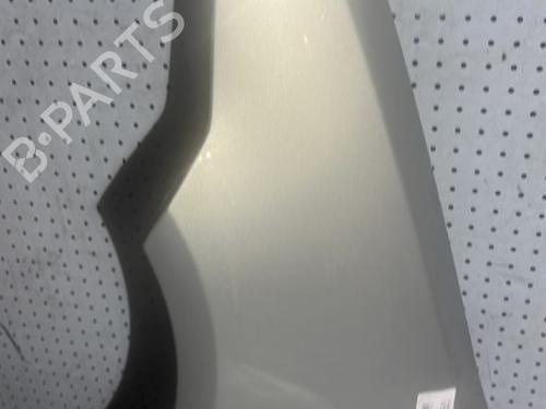 Left front fenders FORD C-MAX (DM2) 1.8 TDCi | BP21700102C41 