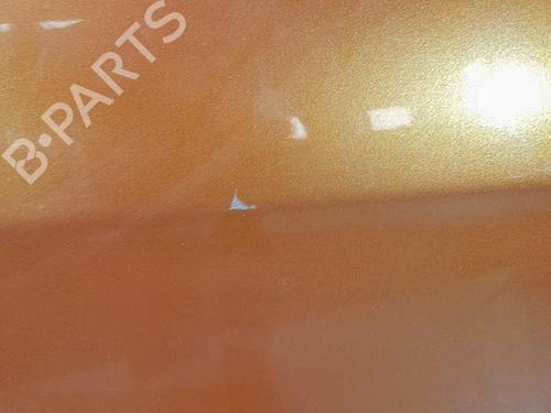 Right front door FIAT IDEA (350_) 1.9 JTD | BP21695969C3