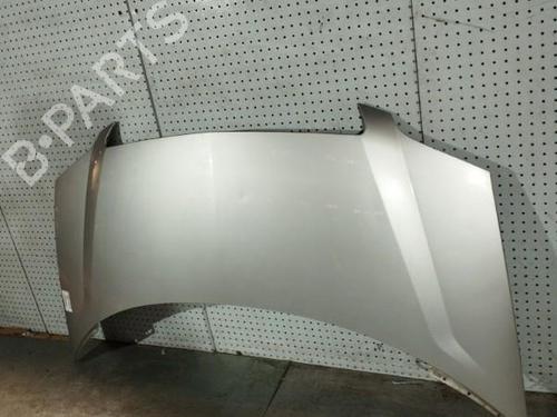 Hood LANCIA PHEDRA (179_) 2.0 (179AXA11, 179AXA1A) | BP21705879C1 