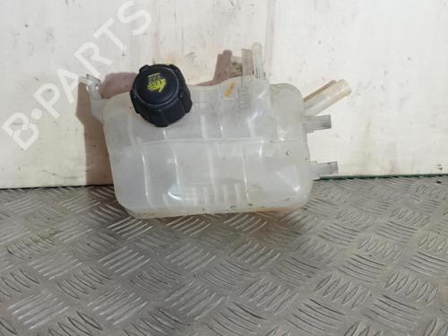 Used Expansion tank RENAULT SCÉNIC III (JZ0/1_) 1.9 dCi (JZ0J, JZ1J, JZ1K, JZ1S) (131 hp) 21708446