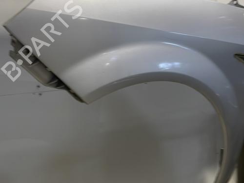Left front fenders RENAULT SCÉNIC II (JM0/1_) 1.5 dCi (JM1F) | BP25130616C41 