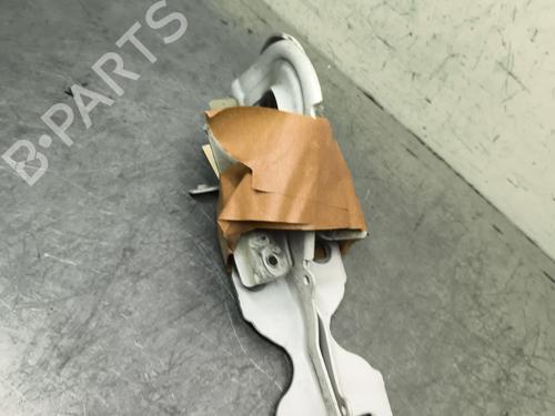 hingedoor-check-strap-citroen-c3-iii-sx-2016-31872114 main image