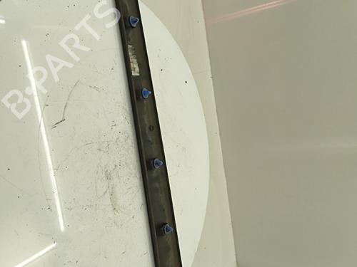 door-moulding-trim-renault-kangoo-express-fw01_-2008-36320542 main image
