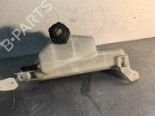 Used Expansion tank NISSAN JUKE (F15) 1.5 dCi (110 hp) 29733414