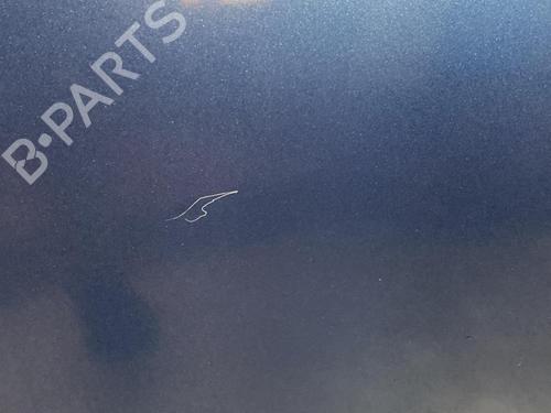 Right front door CITROËN C4 Picasso I MPV (UD_) 1.6 HDi 110 | BP21719036C3 