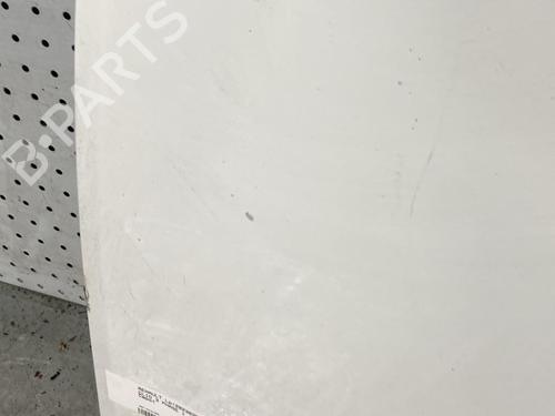 Hood RENAULT CLIO III (BR0/1, CR0/1) 1.5 dCi (BR17, CR17) | BP21697330C1 