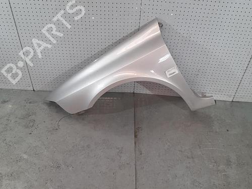 Left front fenders RENAULT LAGUNA II (BG0/1_) 1.9 dCi (BG1A, BG1W, BG0G) | BP21719649C41 