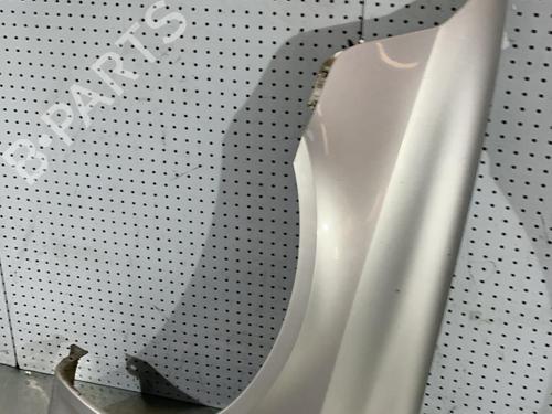 Left front fenders RENAULT LAGUNA II (BG0/1_) 1.9 dCi (BG1A, BG1W, BG0G) | BP21719649C41 