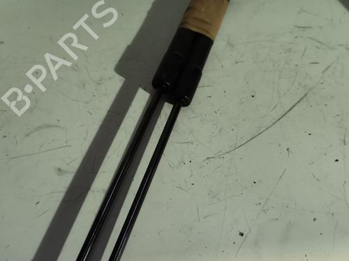 tailgate-lift-support-citroen-c3-ii-sc_-2009-23823189 main image