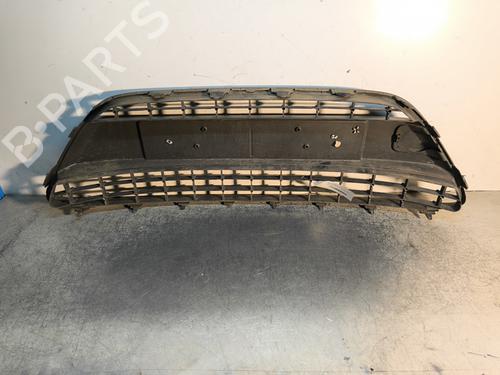 Grille FORD FIESTA VI (CB1, CCN) 1.4 TDCi | BP30110342C40 
