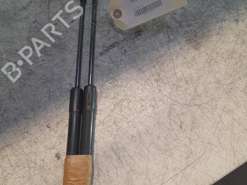 Tailgate lift support BMW 1 (E87) 118 d | BP22421876C138 