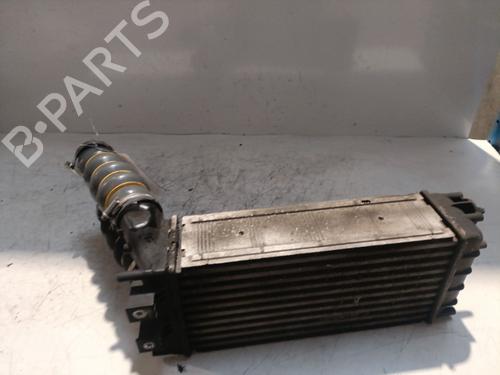 intercooler-citroen-berlingo-multispace-b9-16-hdi-90-00000384n9-2008-21703892 main image