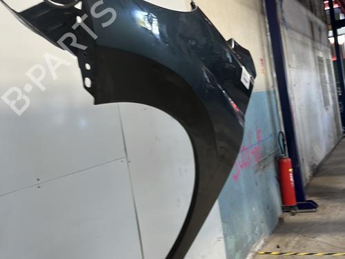 Left front fenders PEUGEOT 207 (WA_, WC_) 1.6 16V | BP29538186C41 