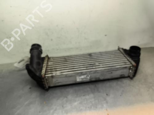 intercooler-renault-kangoo-express-fw01_-2008-36021907 main image