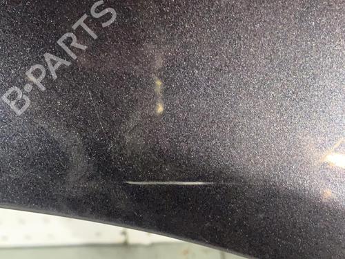 Used Right front fenders RENAULT SCÉNIC II (JM0/1_) 1.9 dCi (JM14) (131 hp) 21699441