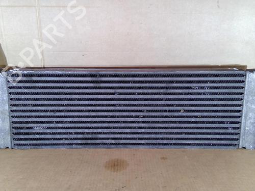 Intercooler RENAULT MEGANE II (BM0/1_, CM0/1_) 1.5 dCi (BM1F, CM1F) | BP21702857M30 