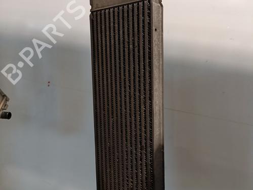 Used Intercooler Intercooler RENAULT SCÉNIC II (JM0/1_) 1.5 dCi (JM02, JM13) (101 hp) 29081885 29081885