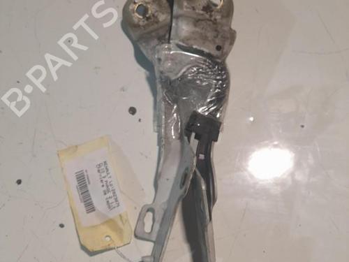 Hinge/Door check strap RENAULT CLIO III (BR0/1, CR0/1) 1.5 dCi (C/BR0G, C/BR1G) | BP21721658C146 