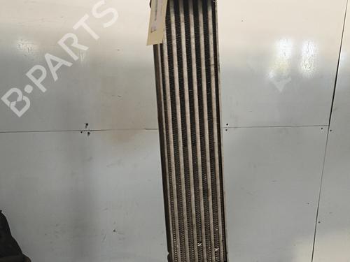 Ladeluftkühler für Ladeluftkühler FIAT PUNTO EVO (199_) 1.3 D Multijet (199AXC1A, 199BXC1A, 199AXT1A, 199BXT1A) (75 hp) 34542640 34542640