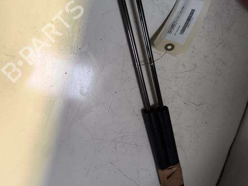 Tailgate lift support FORD S-MAX (WA6) 2.0 TDCi | BP25274384C138 