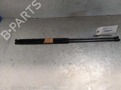Used Tailgate lift support NISSAN JUKE (F15) 1.5 dCi (110 hp) 28078243