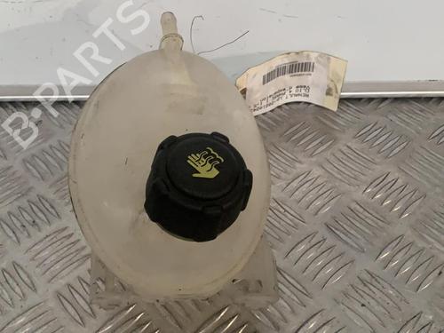Expansion tank RENAULT CLIO IV (BH_) 1.5 dCi 90 | BP21699413C120 