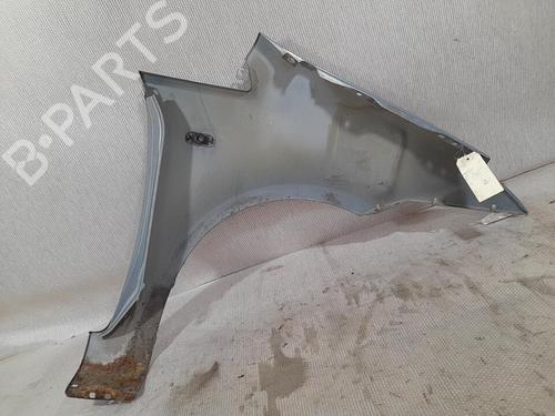 Left front fenders FORD C-MAX (DM2) 1.8 TDCi | BP21718719C41 
