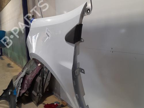 Left front fenders RENAULT CLIO III (BR0/1, CR0/1) 1.5 dCi | BP21716972C41 
