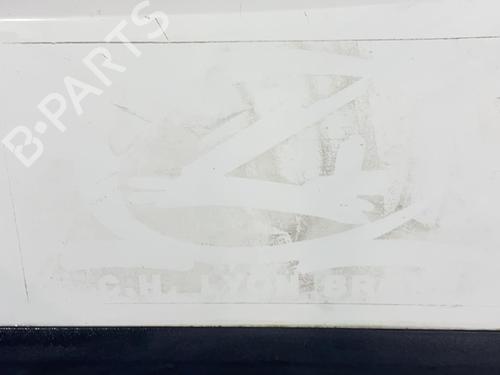 Left front door FIAT DOBLO Box Body/MPV (223_) 1.3 D Multijet | BP21701539C2 