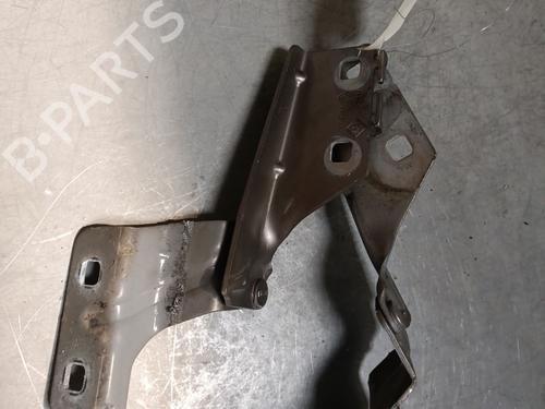 Hinge/Door check strap RENAULT MEGANE II Estate (KM0/1_) 1.5 dCi (KM16, KM1E) | BP27810115C146 